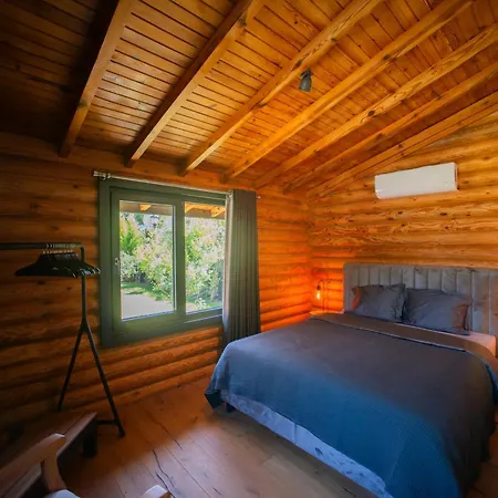 Living Dream Lignum * Duacı
