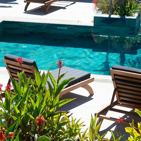 Villa Living Dream Lignum Duacı