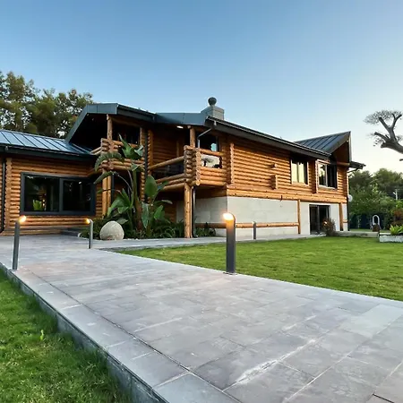 Living Dream Lignum * Duacı