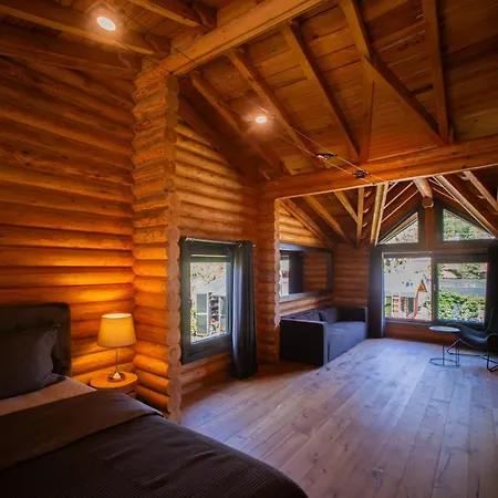 Villa Living Dream Lignum Duacı