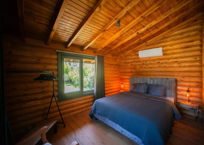 Living Dream Lignum * Duacı