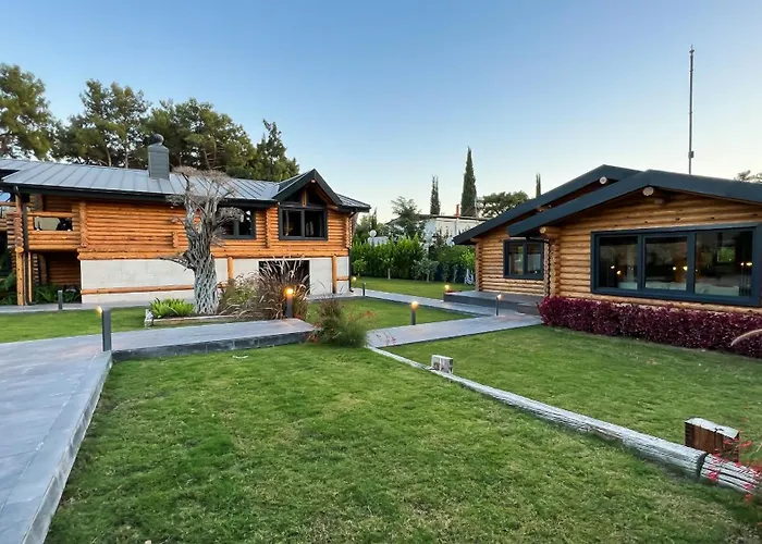 Living Dream Lignum *