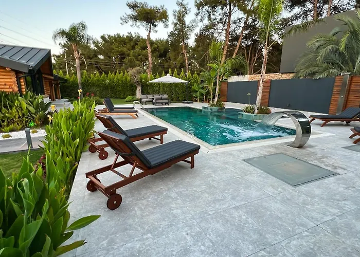 Living Dream Lignum *