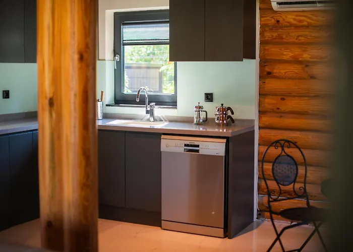 Living Dream Lignum Villa Duacı