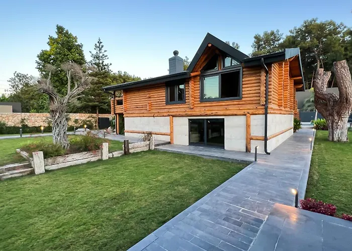 Living Dream Lignum Duacı