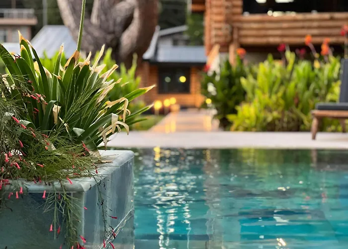 Villa Living Dream Lignum Duacı