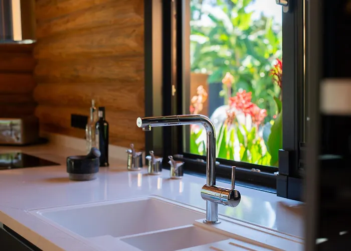 Living Dream Lignum Duacı