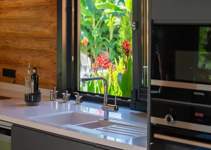 Living Dream Lignum * Duacı