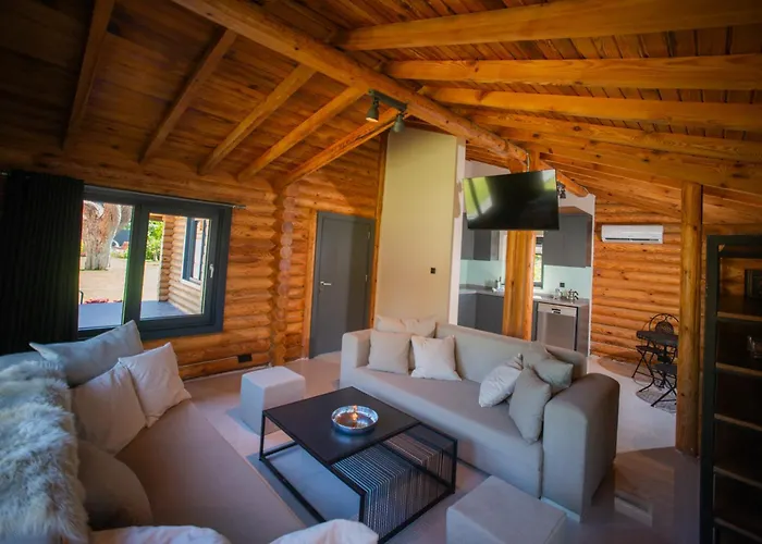 Living Dream Lignum Duacı