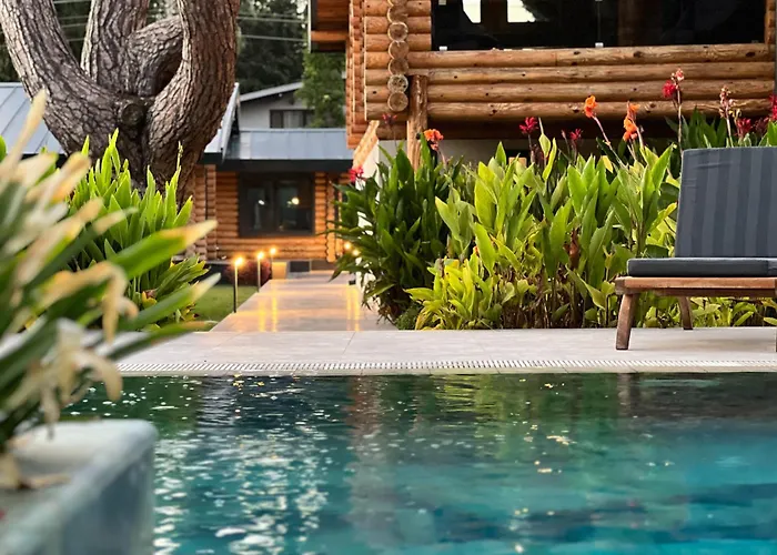 Living Dream Lignum * Duacı