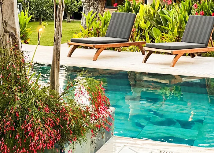 Living Dream Lignum Villa