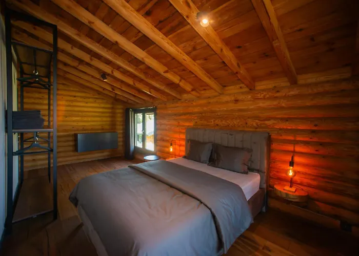 Villa Living Dream Lignum Duacı