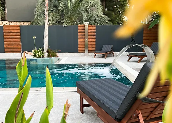 Living Dream Lignum *