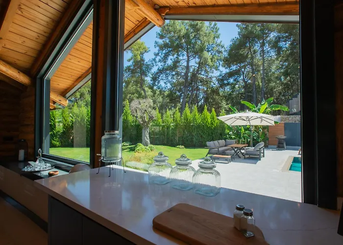 Living Dream Lignum Duacı