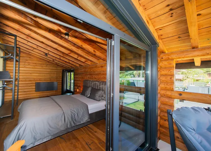 Living Dream Lignum *