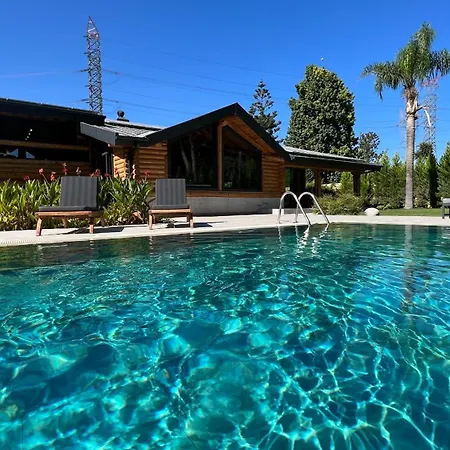 Living Dream Lignum Duaci