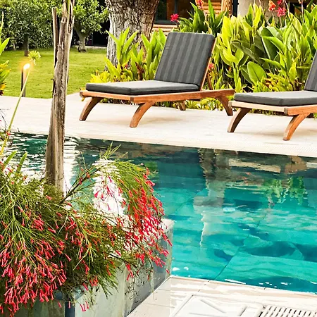 Living Dream Lignum Villa