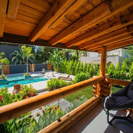 Living Dream Lignum Duaci