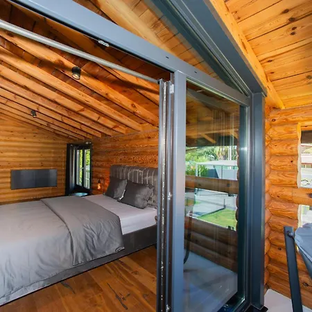 Living Dream Lignum *