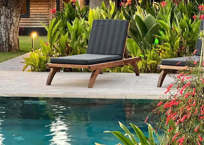 Living Dream Lignum Duacı