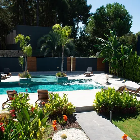 Villa Living Dream Lignum