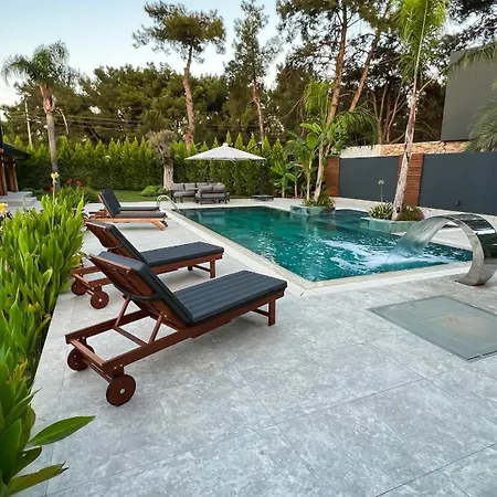 Living Dream Lignum *