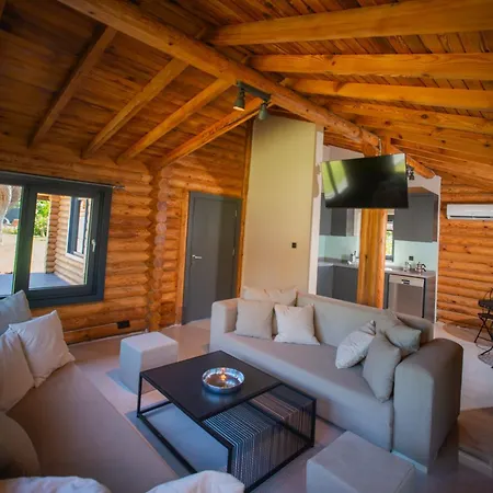 Living Dream Lignum Duacı