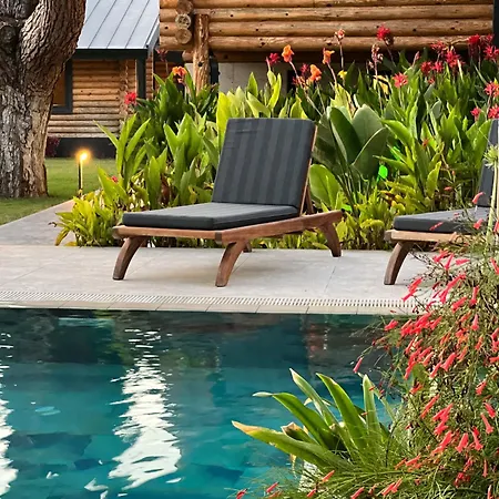 Living Dream Lignum Duacı