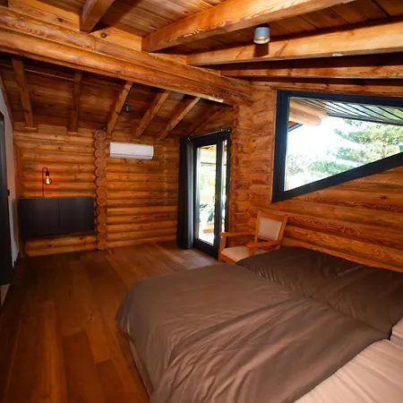 Living Dream Lignum
