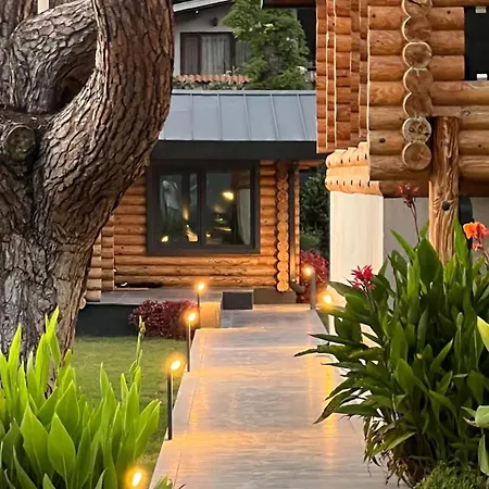 Villa Living Dream Lignum